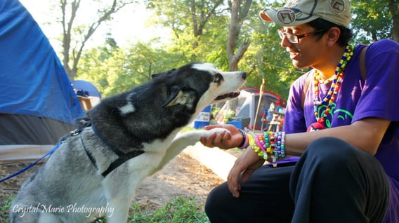 A dog and owner shake hands 