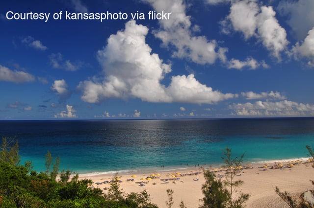 A vacation on a tropical beach